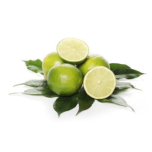 OliveNation Pure Terpeneless Lime Extract - 8 oz | All Natural Sugar Free Liquid Adds Tangy Citrus Taste/Aroma in Baked Goods, Sauces/Glaze, Marinade, Frosting/Fillings, Drinks
