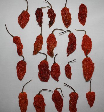 Wicked Tickle Spice Gift Set – 10 Ghost, 10 Scorpion, 10 Carolina Reaper Peppers + 2 Free Each (36 Total)