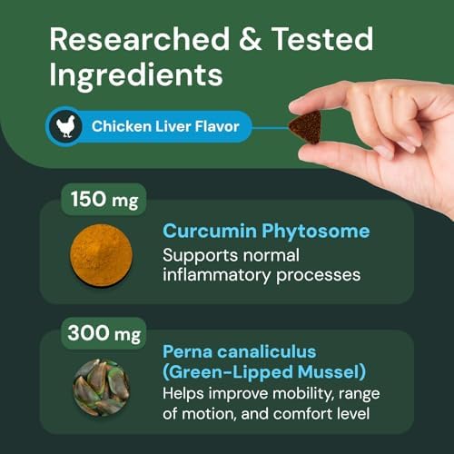 VETRISCIENCE Veterinary Strength Healthy Hip & Joint Chews - Joint Health Supplement for Dogs - Supports Mobility & Flexibility - 60 Count