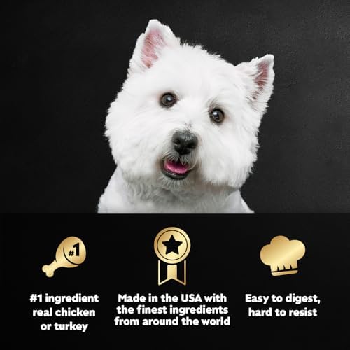 Cesar Filets in Gravy Wet Dog Food, Steak Mix Variety, 3.5 oz, 24 Count | Filet Mignon, New York Strip & Prime Rib, real meat, slow-cooked, no fillers/added sugar/artificial flavors, easy peel trays