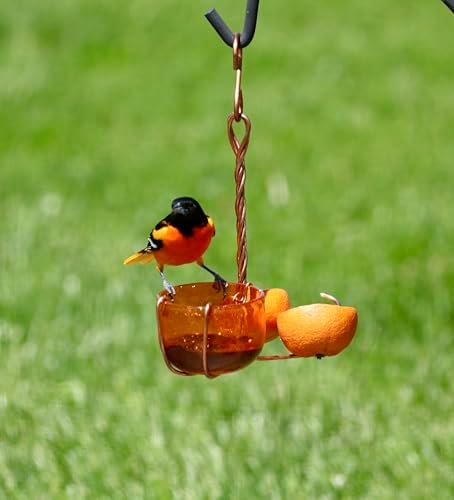 Copper Oriole Fruit and Jelly Feeder with Glass Bowl and Coils | Fruit and Jelly Feeder; Copper Frame; Glass Bowl; Orange Coils