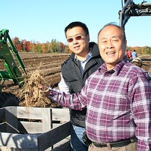 Hsu's SKU 1174 | American Ginseng Powder | Cultivated Ginseng from Marathon County, Wisconsin | 许氏花旗参粉 | 4oz Bag, 西洋参
