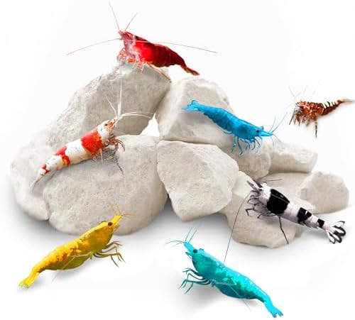 SunGrow Shrimp Rocks, Calcium, Magnesium Rocks for Crayfish, Hermit Crab, Snails, Crustacean Care, Aquarium Decor for Crystal Red, Amano and Ghost Shrimps, Nano Tank Accessories, Fish Tank Supplies