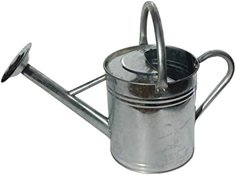 Gardener's Select AW3005PPR Watering Can, Red, 7 L