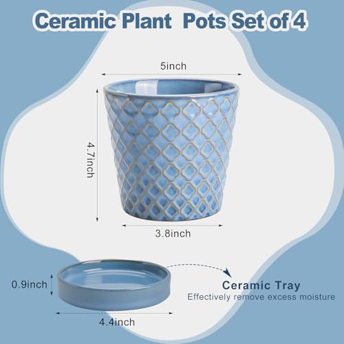 EFISPSS Ceramic Plant Pots, 5 Inch Planters with Drainage Holes and Ceramic Tray, Relief Design Flower Planter
