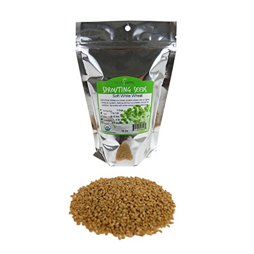 Soft White Wheat - Organic - Handy Pantry Brand - Perfect for Food Storage, Flour, Baking, Sprouting & More (35Lb)