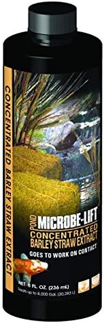 Microbe-Lift Concentrated Barley Straw Extract Conditioner for Ponds – 1 Gallon – Safe for Koi Fish, Plants & Decorations – Natural Pond Conditioner, Cost-Efficient & Organic Solution