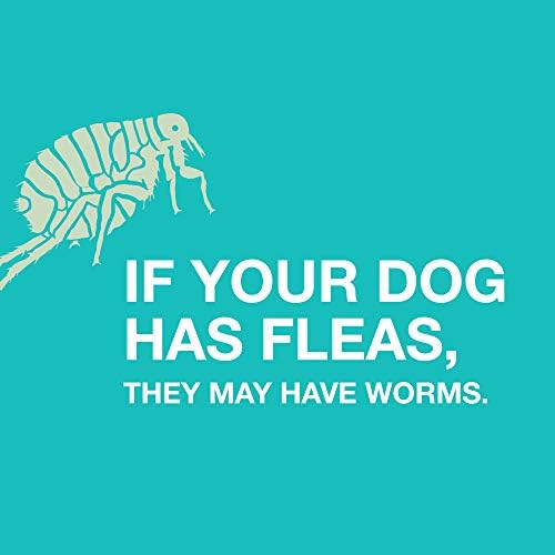Elanco Chewable Quad Dewormer for Large Dogs, 45 lbs and over, 2 chewable tablets | For dogs 45 lb and over