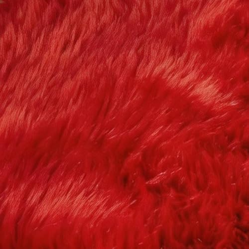 EasyJoy Ultra Soft Fluffy Shaggy Area Rug Faux Fur Rug Chair Cover Seat Pad Fuzzy Area Rug for Bedroom Floor Sofa Living Room (2 x 6 ft Sheepskin