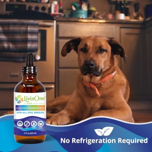 BioLifePet Liquid Probiotics for Dogs, Organic Dog Probiotic Supplements, Puppy and Dog Pet Probiotics, 4 Fl Oz (Pack of 1)