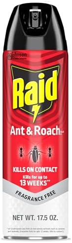 Raid Ant & Roach Killer, Fragrance Free Bug Killer for Home Use, Kills Bugs on Contact, 17.5oz