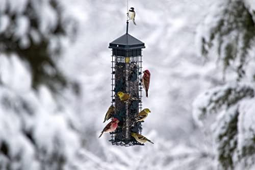 Squirrel Solution200 Squirrel-proof Bird Feeder w/6 Feeding Ports, 3.4-pound Seed Capacity, Free Seed Funnel | Six ports