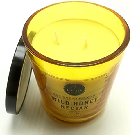 DW Home Wild Honey Nectar 15.48 oz. Candle in Glass jar