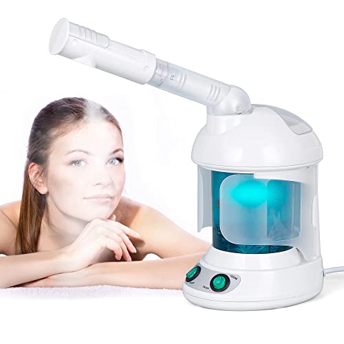 Ionic Nano Mist 2 in 1 Hair Face Steamer