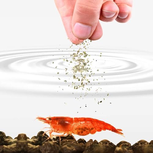 SunGrow Shrimp Rocks, Calcium, Magnesium Rocks for Crayfish, Hermit Crab, Snails, Crustacean Care, Aquarium Decor for Crystal Red, Amano and Ghost Shrimps, Nano Tank Accessories, Fish Tank Supplies