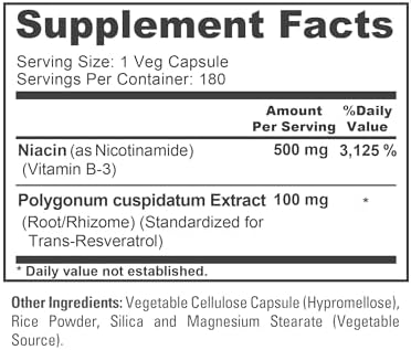 Nicotinamide & Vitamin B-3, Non-GMO, Vegan, 500mg, 180 Caps - 180 Servings