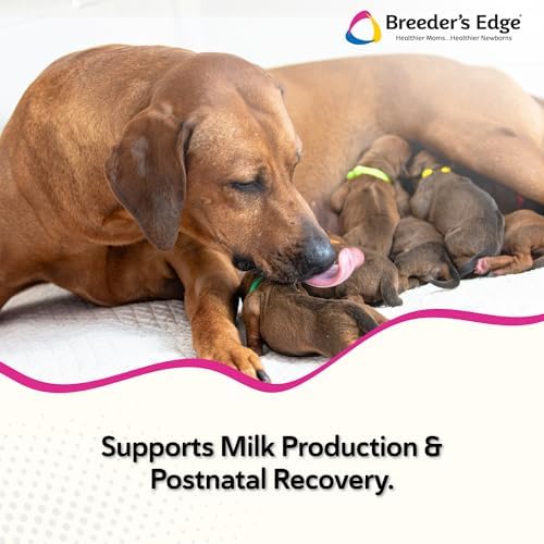 Breeder's Edge Oral Cal Plus Gel, Whelping and Queening Calcium Supplement Gel for Dogs and Cats Delivers 3 Calcium Sources in Labor to Support Strong and Normal Contractions, 30ml Paste
