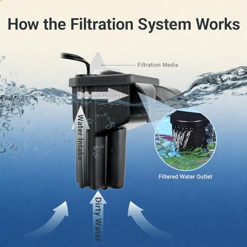Koller Products 5-Gallon Aquarium Kit with LED Lighting and Power Filter, Ideal for a Variety of Tropical Fish