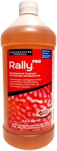 Rally Pro 8 oz. Round ( Pack of 2 )