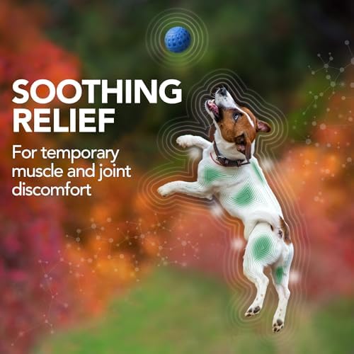 Vet's Best Dog Pain Relief Supplement, Dog Aspirin Alternative, 150 ct | Natural Joint Support Tablets, Helps Relieve Occasional Aches & Discomfort, Supports Mobility & Hip Health for Dogs