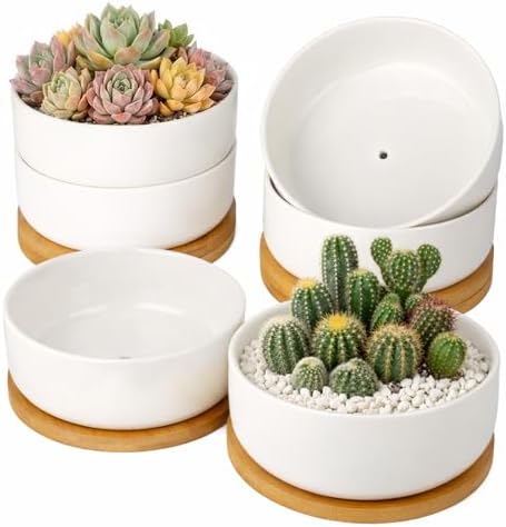 ZOUTOG 2 Pack 6" Ceramic Succulent Pots, White Planters with Drainage Tray
