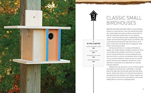 Build-It-Yourself Birdhouses: 25+ DIY Birdhouses and Bird Feeders