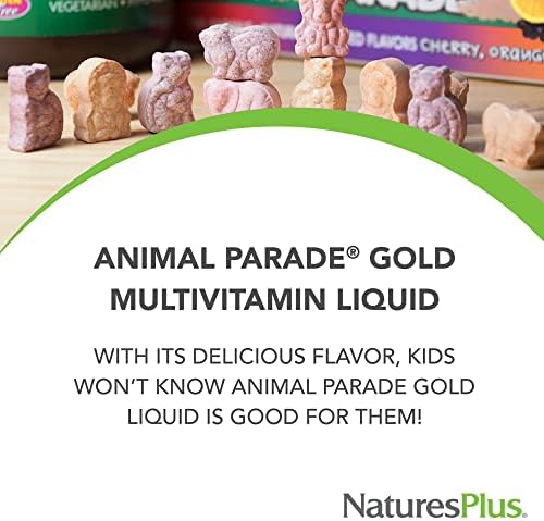 NaturesPlus Animal Parade Gold Children's Liquid Multivitamin, 16 fl oz - Natural Tropical Berry Flavor - Immune Support Supplement - Gluten Free, Vegan - 32 Servings