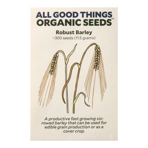 All Good Things Organic Hard Red Spring Wheat Seeds for Planting: 200 Count | Classic Bread-Baking Wheat, High-Protein Hard Red Kernels, Homestead Grain Plot Staple, Doubles as Cover Crop, Non-GMO