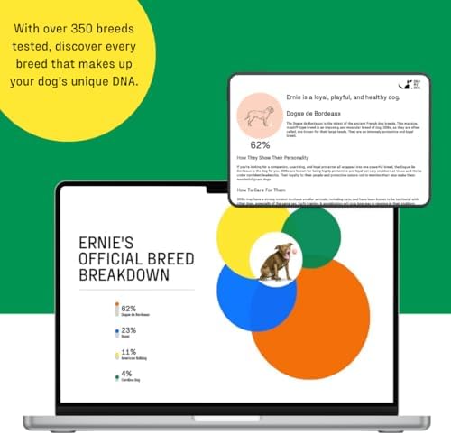 DNA MY DOG - Dog DNA Test Kit | 350+ Breeds Identified | 99%+ Accuracy | Allergy Risk Score | Personality & Behavior Insights | Results in 2-3 Weeks |