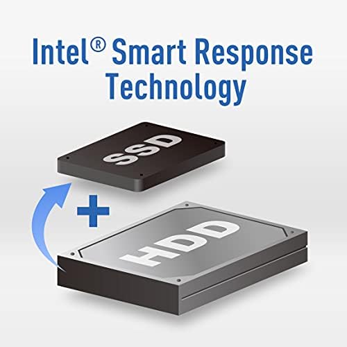 TEAMGROUP MS30 1TB with SLC Cache 3D NAND TLC M.2 2280 SATA III 6Gb/s Internal Solid State Drive SSD (Read/Write Speed up to 530/480 MB/s) Compatible with Laptop & PC Desktop TM8PS7001T0C101