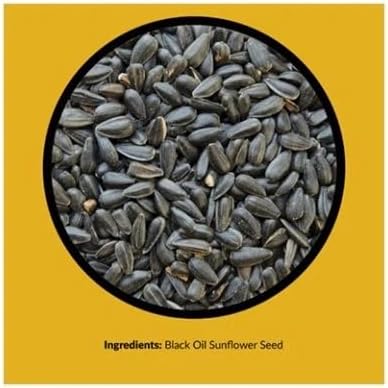 Black Oil Sunflower Seed 5 Lbs.