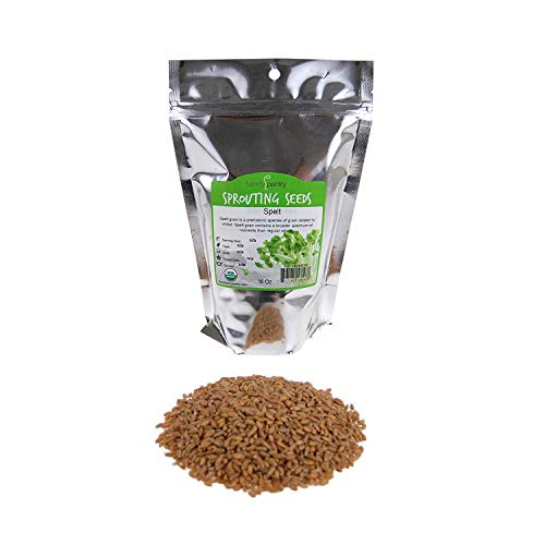 Handy Pantry Organic Spelt Seeds – Bulk Grain for Baking, Seed Rotation | Homesteading, Grinding – 30 lb Food-Grade Bucket – Non-GMO, Whole, Untreated