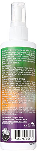 Luster's ShortLooks SassAFraz Quench Moisture Mist