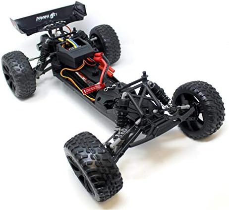 Redcat Racing Piranha-TR-10 Piranha Tr10 Truggy, Blue