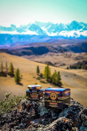 Pure Authentic Shilajit Siberian Mumijo Resin, 100 grams, 3.5 OZ