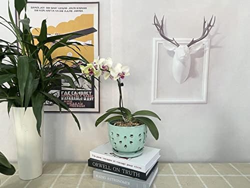 Orchid Pots with Holes Round Ceramic Flower Container Succulent Plant Planter Butterfly Pot Saucer Windowsill Contemporary Home Decoration (6 Inch