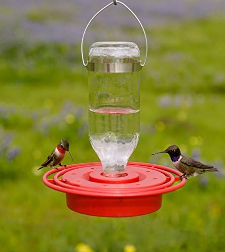 Hummingbird Feeder Replacement Bottom