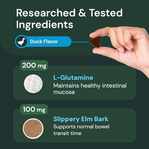 VETRISCIENCE Veterinary Strength Gut & Bowel Support for Dogs & Cats - Pet Digestive Health Supplement - Gut Health Formula - Intestinal Support