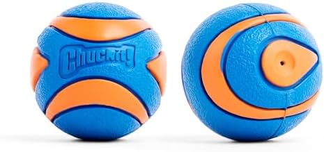 Chuckit! Ultra Ball Dog Toy, Balls for Dogs to Fetch, Durable Rubber, Small 2-inch, Pack of 2