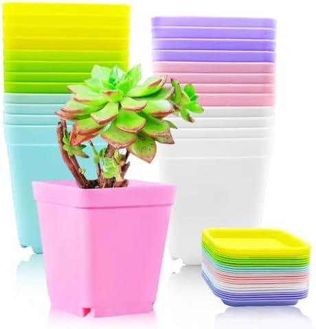 Haawooky 24 Pack Colorful Flower Pots Square Plastic Plant Pots Succulent Planter Nursery Pots with Saucers for Your Room