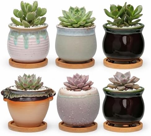 2.1 Inch Ceramic Small Succulent Pot,Plant Pots,Mini Flower Pots | Ceramic Succulent Pots with Drainage,Small Planter for Mini Plant Flowing Glaze Base Serial Set with Holes for Indoor,Outdoor