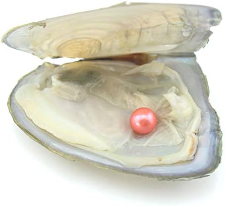 10PC Freshwater Pearl Cultured Oyster with Round Pearl Inside for Gift, Fun for Children, Family, Friends, Party (6-8mm, 10PC)