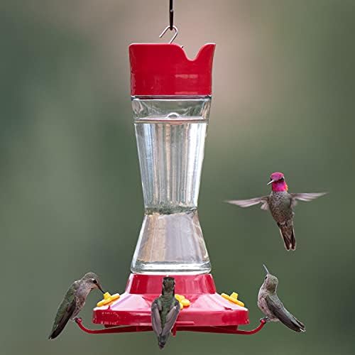 Perky-Pet 210PB Pinch-Waist Glass Hummingbird Feeder with Perches, Built-in Ant Moat and Bee Guards - Outdoor Garden Decor, Unique Gifts