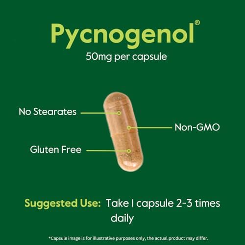 BESTVITE Pycnogenol 100mg (60 Caps) - French Maritime Pine Bark Extract | No Stearates - Gluten Free - Non GMO - Scientifically Studied - Healthy Aging Supplement* - Easy to Swallow Caps