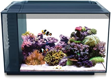 Fluval Evo XII Saltwater Aquarium Kit, 13.5 Gal. | Saltwater Fish Tank with Reef-Capable LED