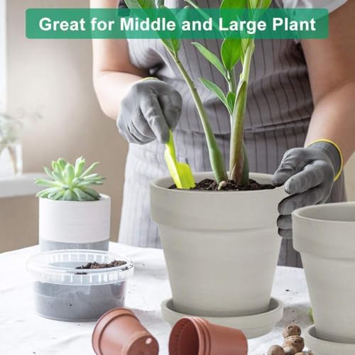 vensovo 8 Inch Clay Pot for Plant with Saucer - 2 Pack Large Terra Cotta Plant Pot with Drainage Hole, Clay Planters Pot