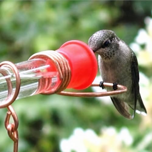 Window Hummingbird Feeder with Suction Cup, 2 Nectar Ports | Window Mount; Suction Cup Design; 2 Nectar Ports; Up-Close Viewing