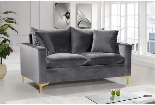 Meridian Furniture Naomi Collection Modern | Contemporary Grey Velvet Upholstered Loveseat with Stainless Steel Base in a Rich Gold or Chrome Finish, 633Grey-L