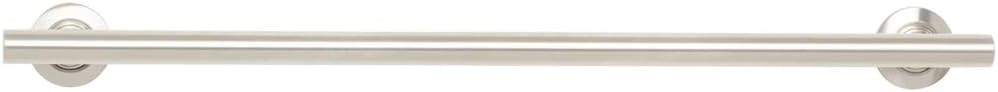 Seachrome 18-inch Coronado Designer Straight Bathroom Shower Grab Bar, Satin Stainless Steel, Brushed Nickel