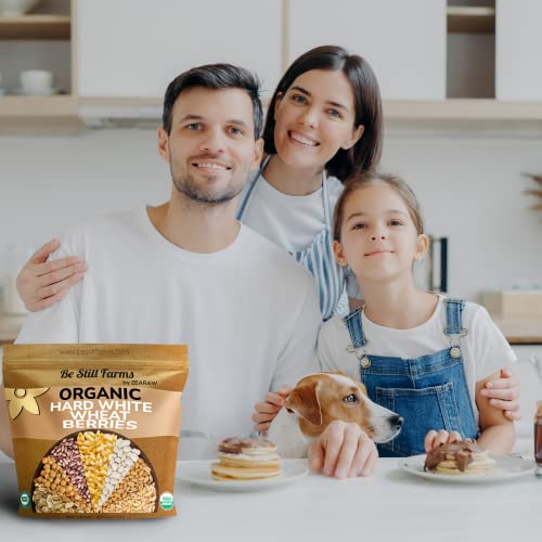 Organic Soft White Wheat Berries 5.8lb - Healthy Whole Grains Bulk | Ideal for Feeder Oats, Flour, Bread, Soup - High in Protein & Fiber - USA Grown | USDA Certified | Vegan | Non-GMO